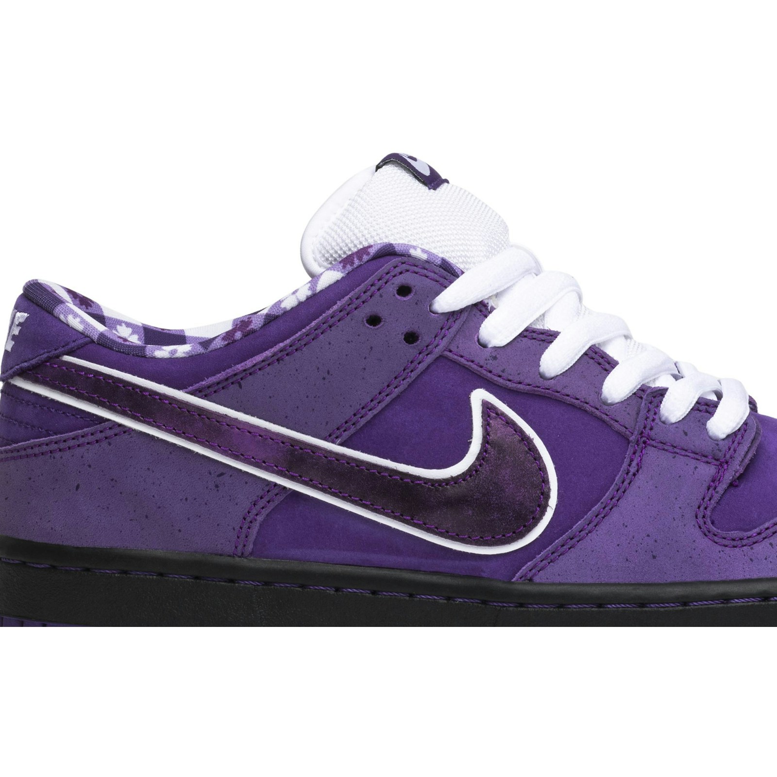 Concepts x Nike SB Dunk Low Purple Lobster BV1310-555 Skidge - Image 2