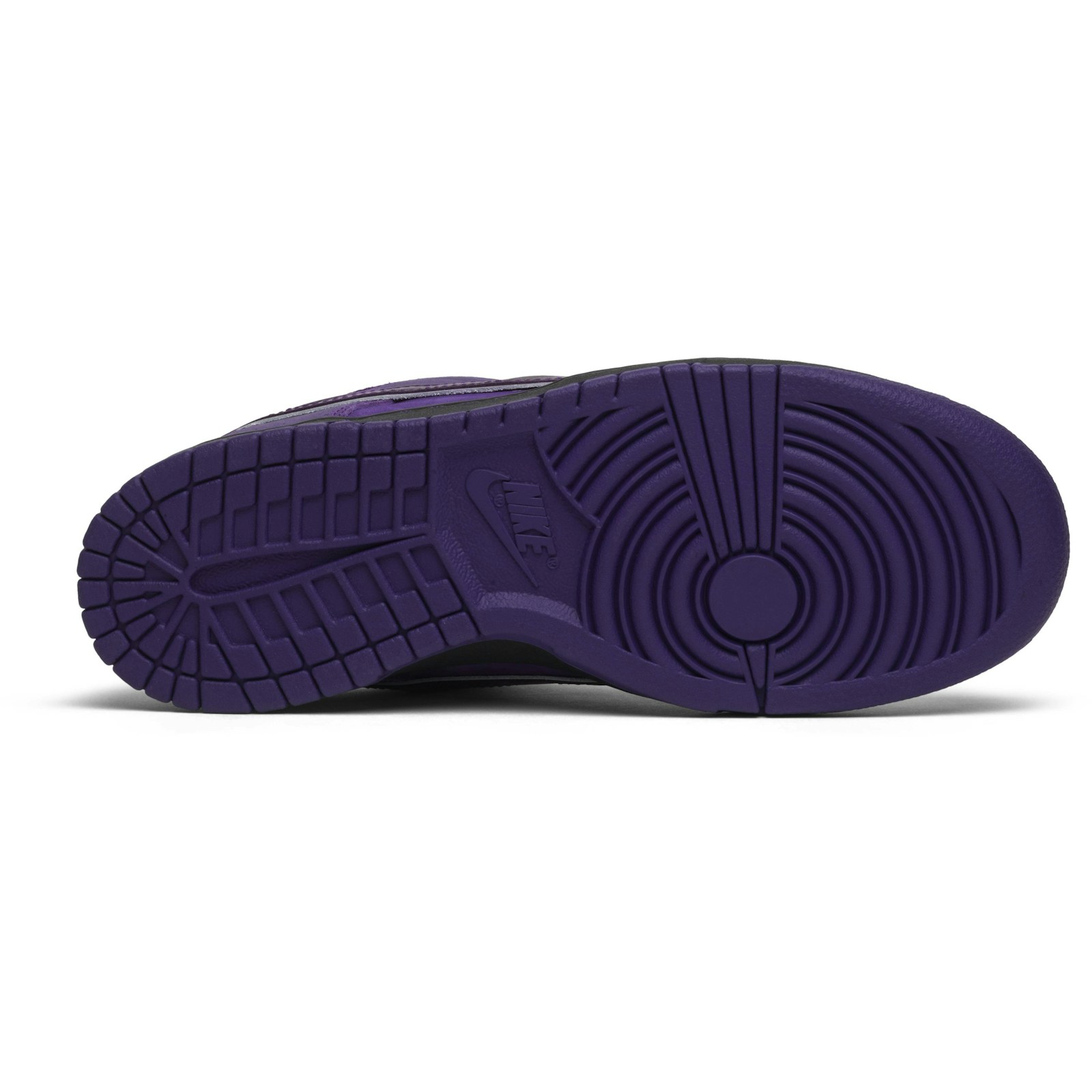 Concepts x Nike SB Dunk Low Purple Lobster BV1310-555 Skidge - Image 4