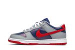 Nike Dunk Low Retro ‘Samba’ 2020 [also worn by Wang Yibo] CZ2667-400 Wabasta store