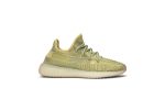 adidas Yeezy Boost 350 V2 Antlia Reflective FV3255 WABT