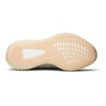 adidas Yeezy Boost 350 V2 Antlia Reflective FV3255 WABT