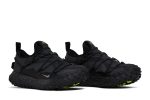 Nike ACG Mountain Fly Low Gore-Tex SE Black Volt DD2861-002 WABT