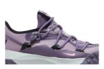 Nike ACG Mountain Fly Low SE Canyon Purple DQ1979-500 WABT