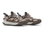 Nike ACG Mountain Fly Low SE ‘Ironstone’ DQ1979-001 WABT