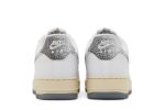 Nike Air Force 1 Low Classics DV7183-100 WABT