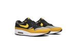 Nike Air Max 1 Dark Stucco Vivid Sulfur AH8145-001 WABT