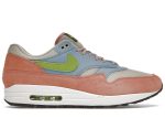 Nike Air Max 1 ‘Light Madder Root’ DV3196-800 WABT