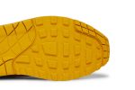 Nike Air Max 1 Premium Ugly Duckling – Pecan DZ0482-200 WABT