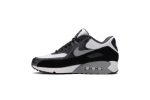 Nike Air Max 90 Retro QS ‘Python’ 2019 CD0916-100 WABT