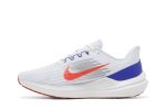 Nike Air Winflo 9 Grey Concord DD6203-006 WABT