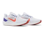 Nike Air Winflo 9 Grey Concord DD6203-006 WABT