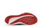 Nike Air Winflo 9 Grey Concord DD6203-006 WABT