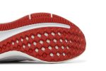 Nike Air Winflo 9 Grey Concord DD6203-006 WABT