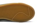 Nike Blazer Low GT SB Green Gum DC0603-300 WABT