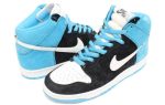 Nike Dunk High Pro SB Send Help 305050-014 WABT