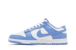 Nike Dunk Low Polar Blue DV0833-400 WABT