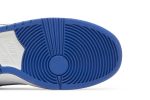 Nike Dunk Low Pro SB Matte Silver Varsity Royal 304292-040 WABT