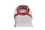 Nike Dunk Low Vast Grey Varsity Red FJ0832-011 WABT