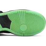 Nike SB Dunk High Premium Northern Lights 313171-063 WABT