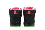 Nike SB Dunk High Premium Northern Lights 313171-063 WABT