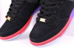 Nike SB Dunk Low Premium QS BHM 2014 504750-001 WABT