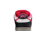 Nike SB Dunk Low Premium QS Disposable 504750-061 WABT