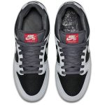 Nike SB Dunk Low Pro 35mm Camera Starp 504750-020 WABT