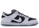 Nike SB Dunk Low Pro 35mm Camera Starp 504750-020 WABT
