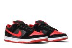 Nike SB Dunk Low Pro Jpack 304292-039 WABT