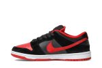 Nike SB Dunk Low Pro Jpack 304292-039 WABT