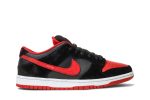 Nike SB Dunk Low Pro Jpack 304292-039 WABT