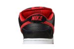 Nike SB Dunk Low Pro Jpack 304292-039 WABT