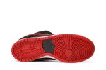 Nike SB Dunk Low Pro Jpack 304292-039 WABT