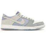 Nike SB Dunk Low Pro Wolf Grey 854866-011 WABT