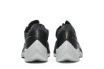 Nike ZoomX Vaporfly Next% 2 ‘Black Metallic Gold Coin’ CU4111-001 WABT
