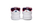 Parra x Nike SB Dunk Low OG QS 2020 CN4504-100 WABT