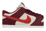 Skate Like a Girl x Nike SB Dunk Low Pro DX4589-600 WABT