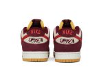 Skate Like a Girl x Nike SB Dunk Low Pro DX4589-600 WABT