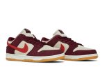 Skate Like a Girl x Nike SB Dunk Low Pro DX4589-600 WABT