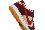 Skate Like a Girl x Nike SB Dunk Low Pro DX4589-600 WABT