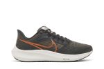 (W) Nike Air Winflo 9 Grey Metallic Copper DH4072-007 WABT