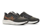 (W) Nike Air Winflo 9 Grey Metallic Copper DH4072-007 WABT