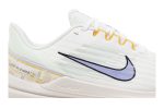 (W) Nike Air Winflo 9 Premium Back In A Wink DR8802-100 WABT