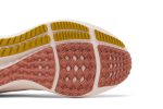 (W) Nike Air Zoom Pegasus 39 Whisper Madder Root DH4072-501 WABT