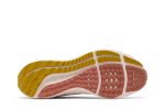 (W) Nike Air Zoom Pegasus 39 Whisper Madder Root DH4072-501 WABT