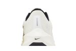 (W) Nike Air Zoom Pegasus 40 All Petals United FN8919-191 WABT