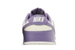 (W) Nike Dunk Low Next Nature Daybreak FZ4349-100 WABT