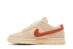 (W) Nike Dunk Low ‘Terry Swoosh’ DZ4706-200 WABT