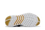 (W) Nike Free Run 5.0 Next Nature ‘Dark Smoke Grey Metallic Gold Coin’ CZ1891-005 WABT
