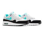 (Youth) Nike Air Max 1 Tropical Twist DZ3307-114 WABT